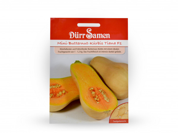 Durr Samen Mini Butternut Kurbis Tiana F1 Plantastisch De